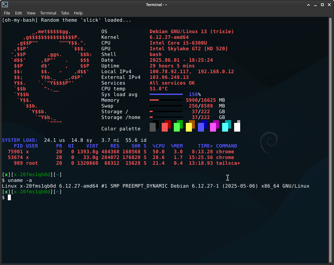 ohmybash debian terminal
