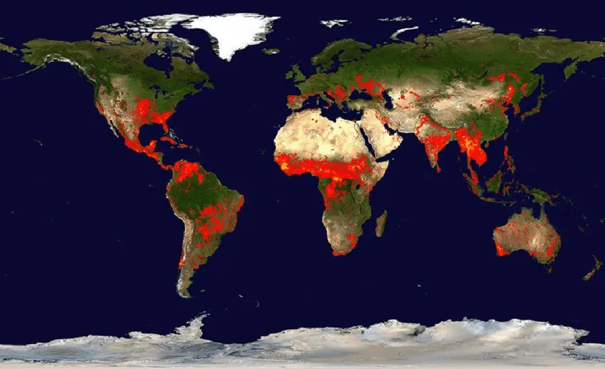 global fire map
