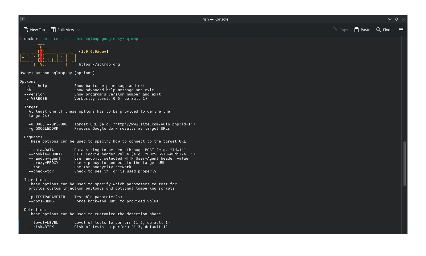 sqlmap docker