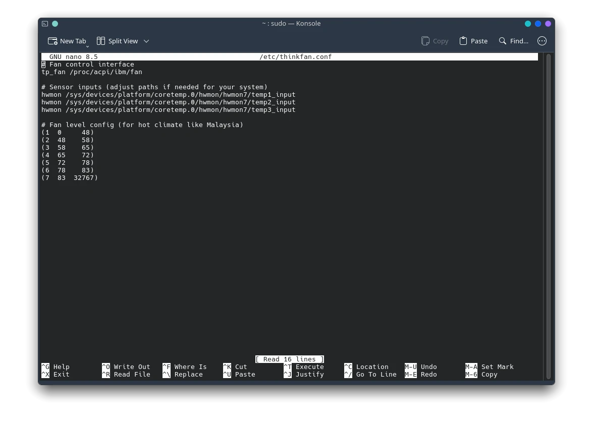 thinkfan malaysia setting
